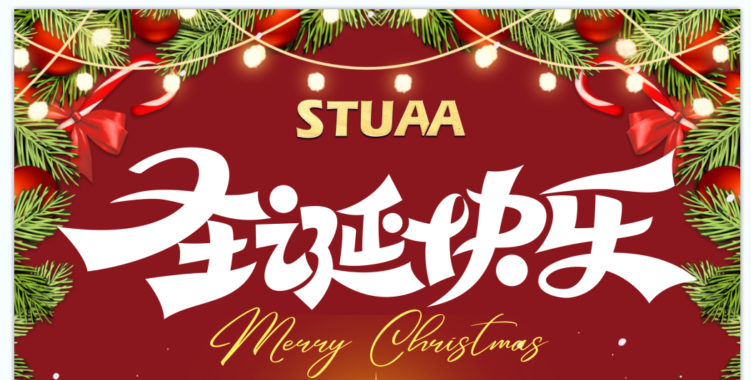 2024乐玩祝您圣诞快乐!